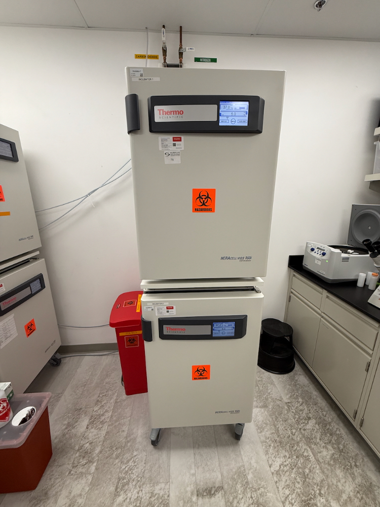 Image of Thermo Scientific Vios 160i Double Stack C02 Incubator